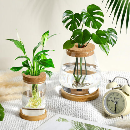 Honeydak 6 Pcs Plants Propagation Stations Planter Terrariums with Wooden Lid and Bamboo Stand Desktop Glass Propagation Vases for Plant Growing Hydroponic Home Office Tabletop Decoration