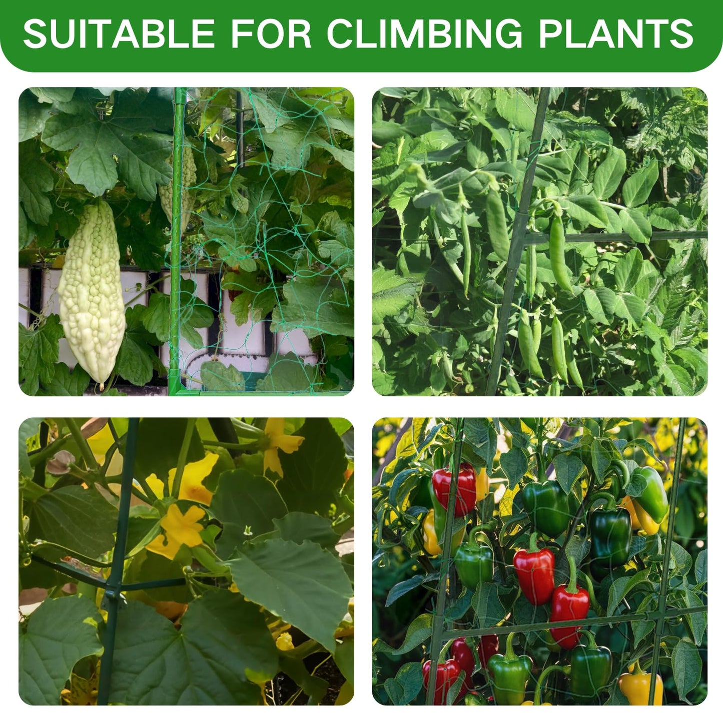 Cucumber Trellis for Raised Beds - 48"x30"x48"Sturdy Arch Trellis for Peas, Beans & Climbing Plants | Outdoor Vegetable Support, Garden Trellis Kit