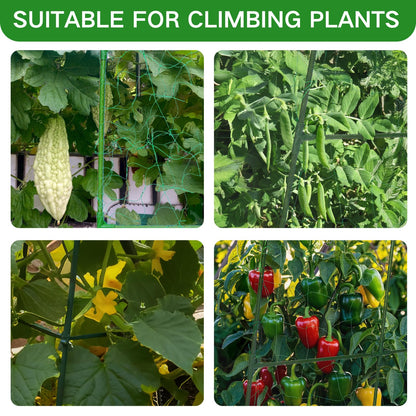 Cucumber Trellis for Raised Beds - 48"x30"x48"Sturdy Arch Trellis for Peas, Beans & Climbing Plants | Outdoor Vegetable Support, Garden Trellis Kit