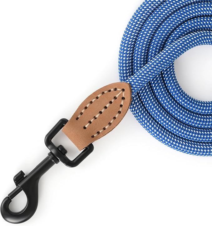Mile High Life Small Dog Leash, Thin Rope Leash with Genuine Leather Connection and Heavy Duty Metal Clasp, Great for Small Medium Dogs(Blue White,48 Inch-1/3)
