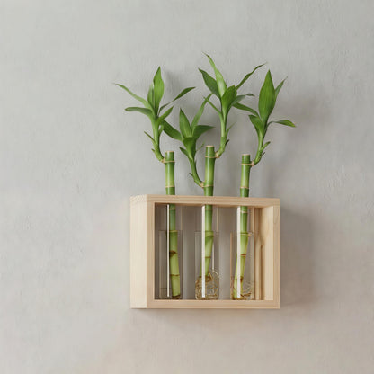 3-Tube Plant Propagation Station, Wall-Mounted Terrarium with Propagation Tubes – Ideal for Indoor Plant Propagation in Living Rooms, Bedrooms & Offices (Uses Test Tubes for Plants)