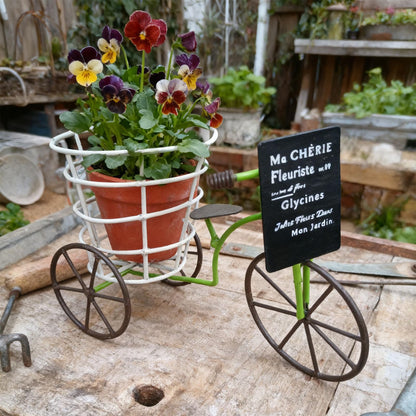 EINCORN Beautiful Iron Tricycle Flower Pots Holder Container with Deeping Basket for Living Room Indoor Outdoor Garden Decoration Beautiful Iron Tricycle Flower Pots Holder Container