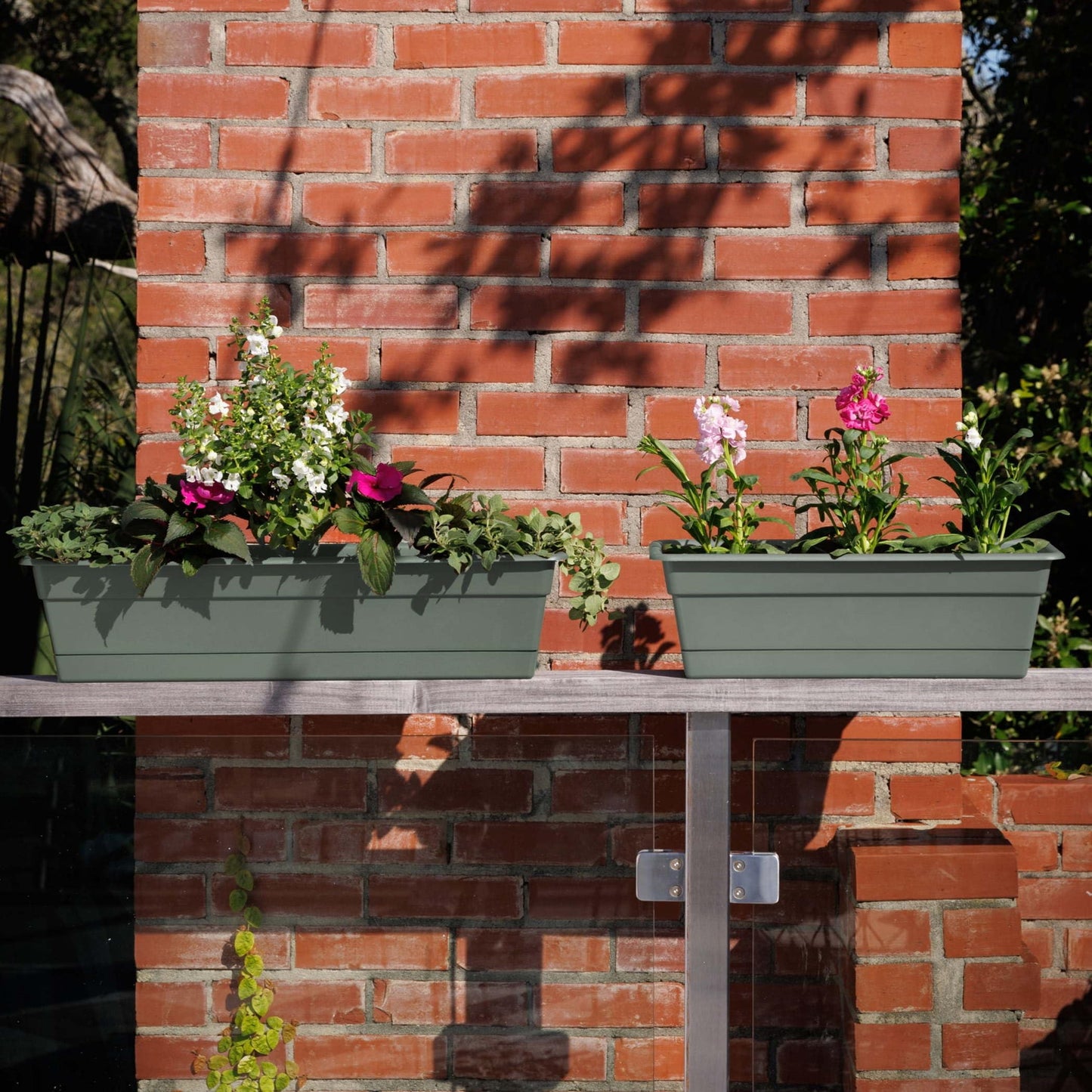 Bloem Dura Cotta 24" Plastic Window Box Planter with Saucer Tray: Indoor/Outdoor, for Windowsill, Ledge, & Tabletop, Basil