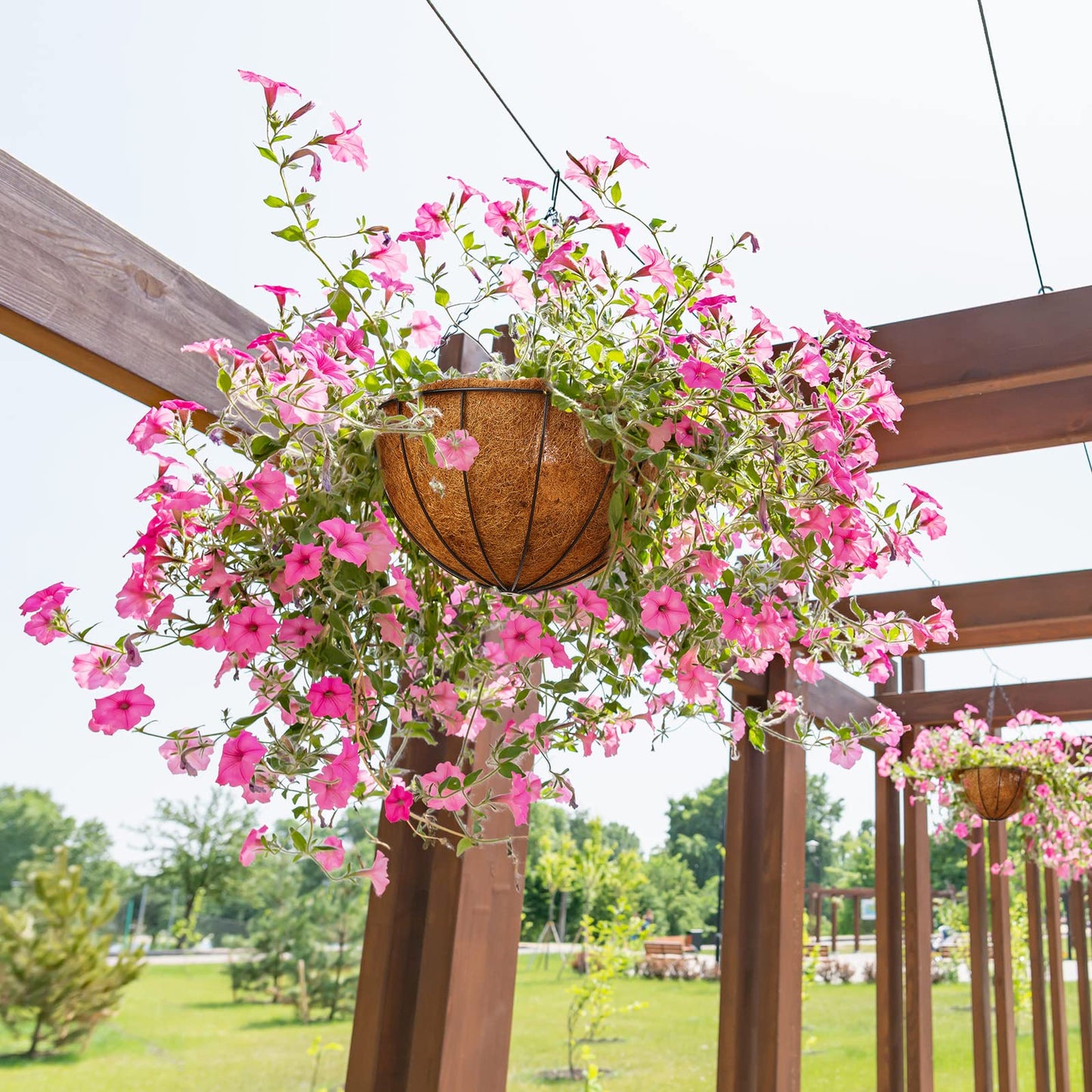 Rtteri 8 Pcs 8 Inch Hanging Baskets for Plants Outdoor with Metal Wire Frame and Coconut Coir Liners, Round Wire Hanging Baskets with Chain for Patio Garden Porch Decoration