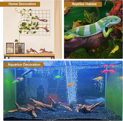 Natural Driftwood Decor for Aquarium Decorations Reptile Tank Accessories, Assorted Wood Branches Decorations on Reptile Fish Tank 2-10" 2 Pcs/4 Pcs/ 5 Pcs/ 6 Pcs (Pack of 4 (5. to 8 Inch))
