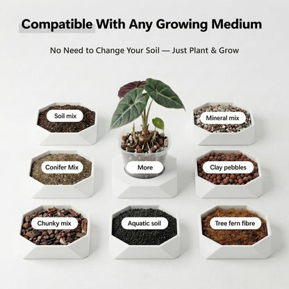 FYRIXONE 10 Pack 4" Self Watering Small White Plant Pots for Indoor Plants, Clear Inner Cup, Water Level Indicator, Drainage Holes & Wick, for Cuttings, Seedlings, Herb, African Violet, Hoya, Begonia