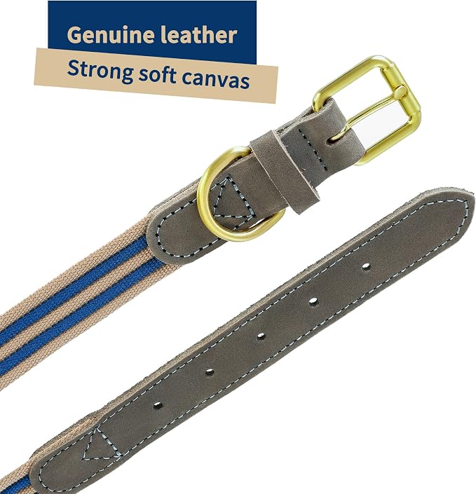 Mile High Life Genuine Leather Dog Collar, Heavy Duty Canvas Collar with Adjustable Metal Pin Buckle for Small Medium Large Dogs (Navy Blue, M Neck 15"-18")