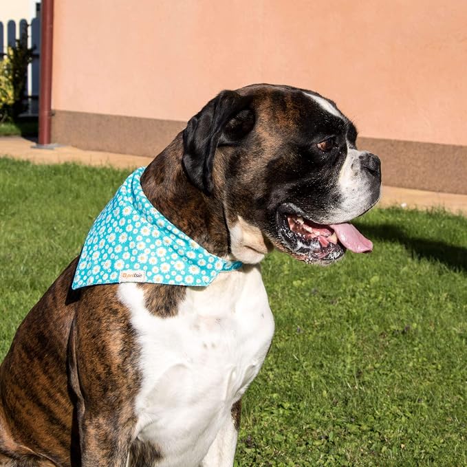 Pettsie Hemp Dog Bandana Collar & Matching Owner Friendship Bracelet | Matching Friendship Bracelet, Durable Hemp, Adjustable, Secure D-Ring, Soft & Comfortable, Turquoise