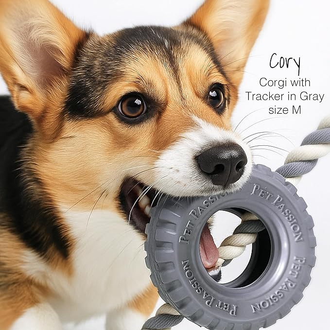 Pet Passion Natural Rubber Tire and Organic Cotton Rope Pull and Chew Dog Toy for All Pet Breeds, Black, Large