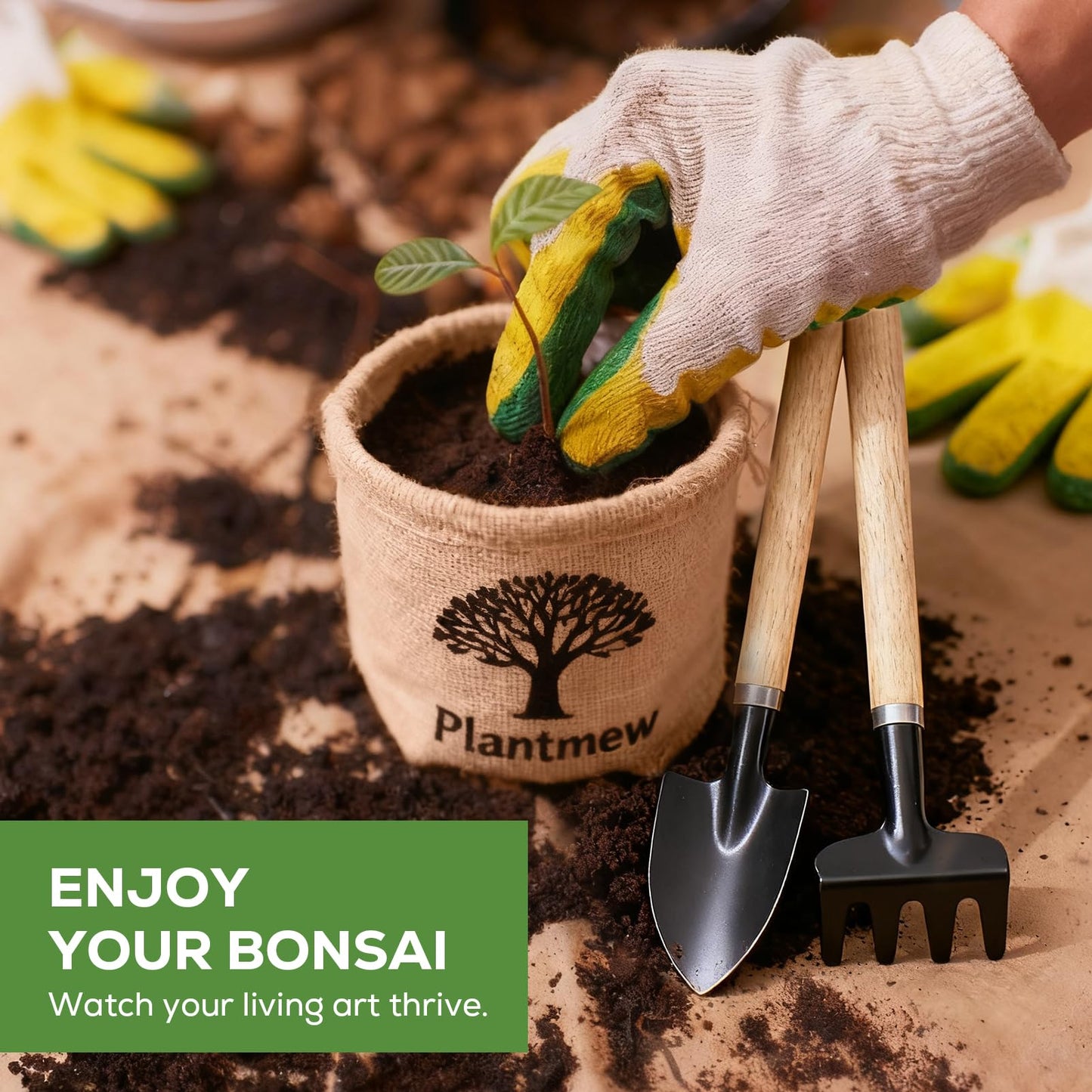 Bonsai Starter Kit for Adults – Complete Indoor Tree Growing Set with Jacaranda Seeds, Tools & Planter | DIY Gardening Hobby Kits for Plant Lovers, Unique Easter Gifts for Men & Women