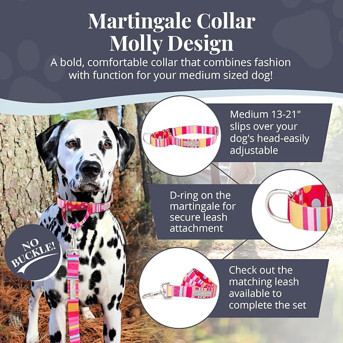 Lucky Love Dog Martingale Dog Collar - Adjustable, No-Slip, Durable, & Soft Webbing Collar for Male and Female Dogs Ideal for Training & Walking - Molly, Medium
