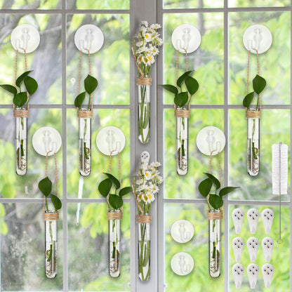 Baderke 9 Pack Clear Window Propagation Stations Plastic Window Planter with Suction Cups & Traceless Nails, Propagated Plant Holders with Bottle Brush, Hanging Vases Terrarium Gift(5")