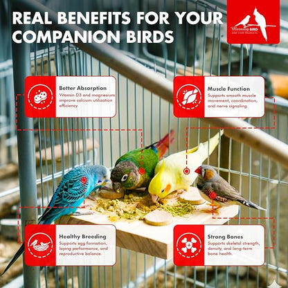 Morning Bird Calcium Plus Powder for Birds 4.5 oz – Calcium Supplement with Vitamin & Protein Powder – Supports Bone Health, Muscle Function & Digestive Balance – Easy-to-Mix Calcium Formula
