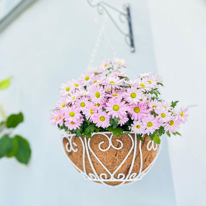 LaLaGreen Hanging Baskets for Plants (2 Pack, 12 Inch) Hanging Flower Pots with Coco Liner, White Metal Wire Round Basket Plant Holder with Hanger Hook Chain Outdoor Deck Patio Balcony Garden Decor