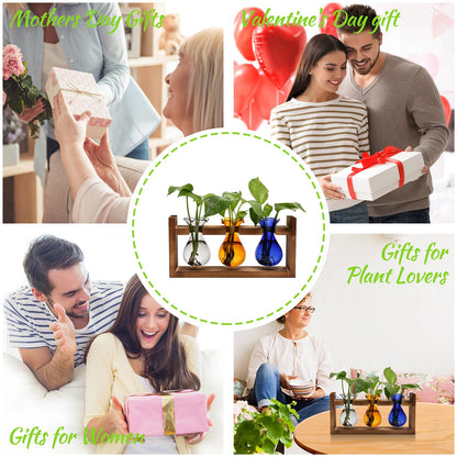 Plant Propagation Station Plant Terrarium Unique Birthday Gifts for Women Home Office Decor Planter with Wooden Stand - 3 Bulb Glass Vase