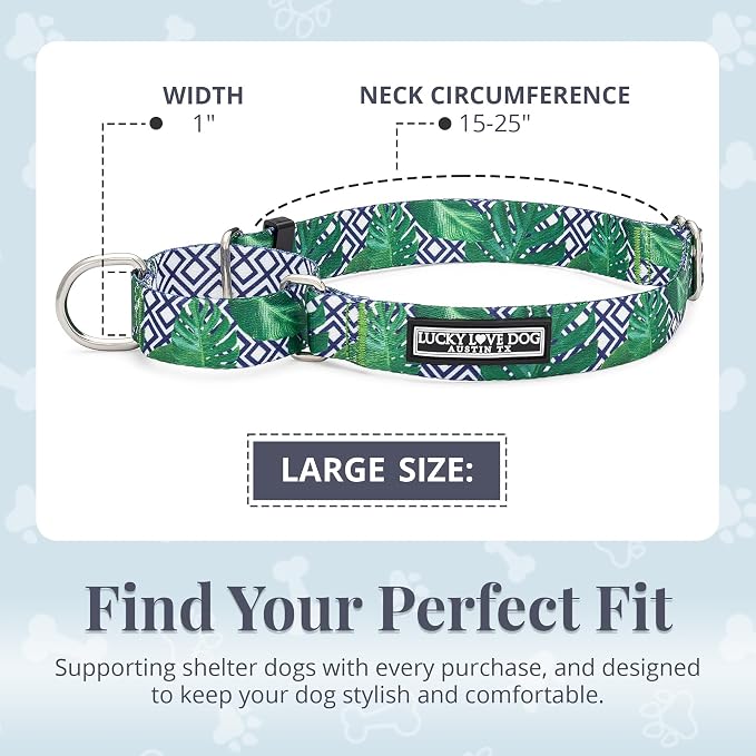 Lucky Love Dog Martingale Collar, Premium No Slip Martingale Collar for Large Boy Dogs, Great for Whippets, Greyhounds, and More (Large, Blue Laguna)