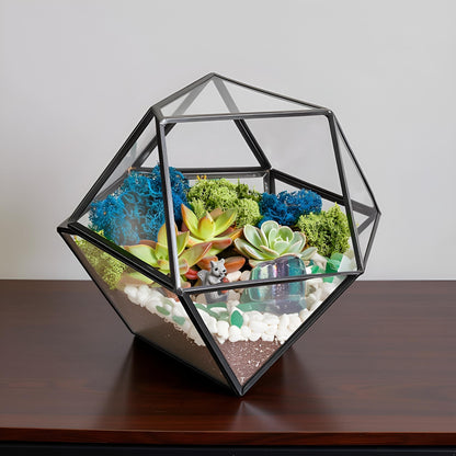 Creations by Nathalie DIY 7" Geometric Terrarium Kit - Build Your Own Glass Terrarium for Adults & Teens with Moss, Crystals, Tools & Decor - Handcrafted in the USA (Live Plant Included)