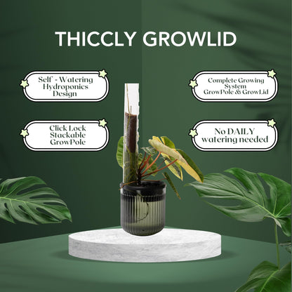THICCLY Medium GrowLid 5 Pcs (Royal Blue) - Self Watering Clear D-Shaped Plastic Moss Pole Hydroponics Growing System Kratky Hydroponic Kit Moss Pole Monstera Plant Support Philodendron and Anthuriums
