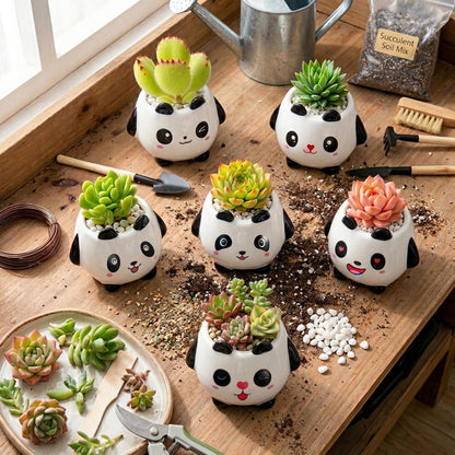 Set of 6 Small Cartoon Plant Pots with Drainage - 3.5 Inch Animal Succulent Planters - Mini Ceramic Cactus Pots, Air Plant Holder for Window Sill, Office, Bookshelf Decor