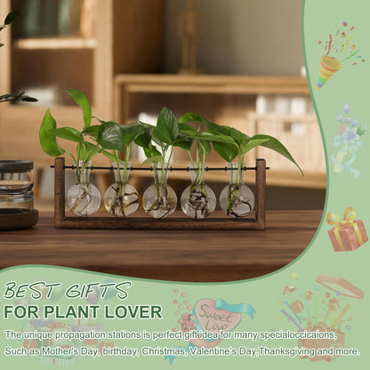 YIBOT Wall Hanging Glass Planter Plant Propagation Vase for Indoor Home Office Living Room Decor Gifts, Plant Terrarium with Wooden Stand-5 Bulb Glass Vases