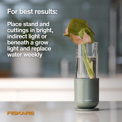 Fiskars Plant Propagation Set, Glass Vases with Metal Stands for Rooting Cuttings, Hydroponic System for Growing Plants in Water & Decorative Display for Indoor Garden Decor, 3 Pack, Clear