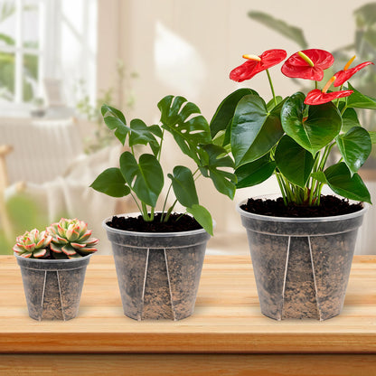 AUGXIXI 10 Sets Transparent Plastic Garden Pots Planter with Saucer 3.9/4.7/5.5/5.9/6.3 inch Plant Pot Nursery Pots Drainage Hole for House Plants, Herb, Flowers, and Cactus with 20pcs Plant Labels
