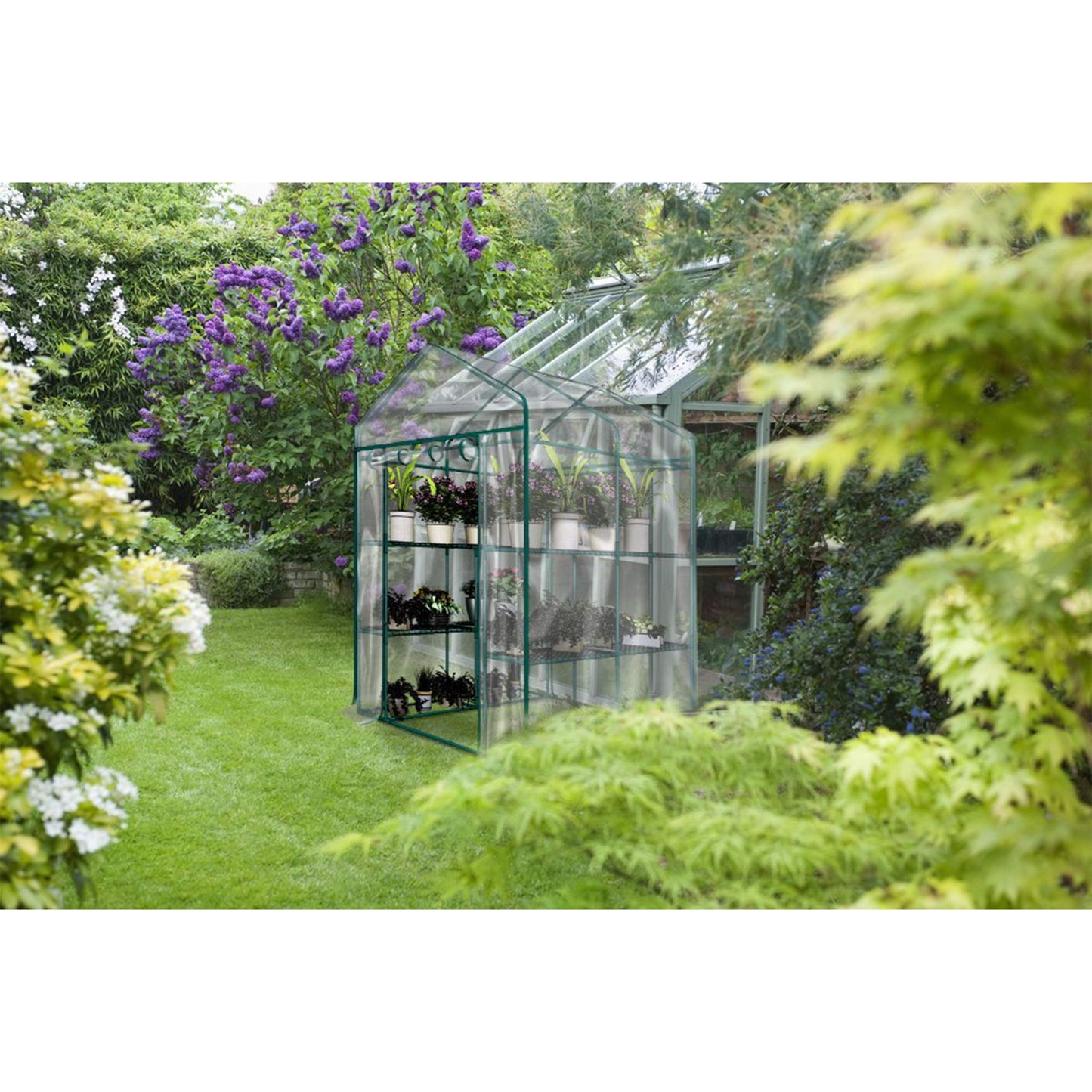 Greenhouse - Walk in Greenhouse with 8 Sturdy Shelves and PVC Cover for Indoor or Outdoor Use - 56 x 56 x 76-Inch Green House by Pure Garden