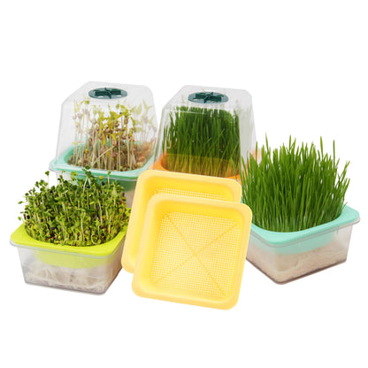 Microgreen Growing Trays, 5" x 5" Sprouting Tray with Humidity Dome, 1.2 mm Small Mesh Holes, BPA Free, Sprouter Kit for Growing Mirco Seeds, Like Broccoli, Alfalfa, Radish, Clover - 6 Pack | Clear