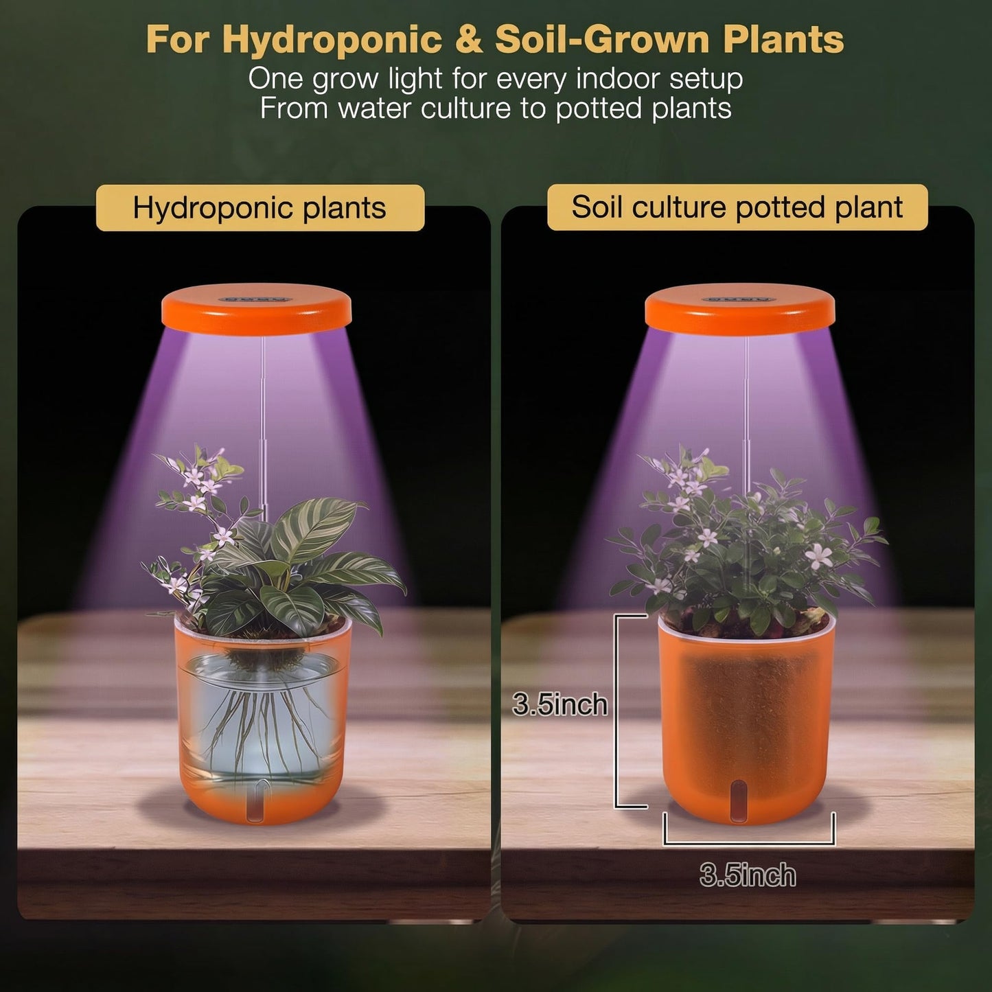 Raygrov Self-Watering Planter with Grow Light, Smart Indoor Pot for Venus Fly Trap, Carnivorous Plants, African Violet, Cat Grass, Catnip & Herbs, 2-in-1 Wall + Desktop, USB 5W Full Spectrum LED