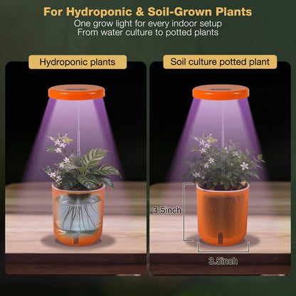 Raygrov Self-Watering Planter with Grow Light, Smart Indoor Pot for Venus Fly Trap, Carnivorous Plants, African Violet, Cat Grass, Catnip & Herbs, 2-in-1 Wall + Desktop, USB 5W Full Spectrum LED