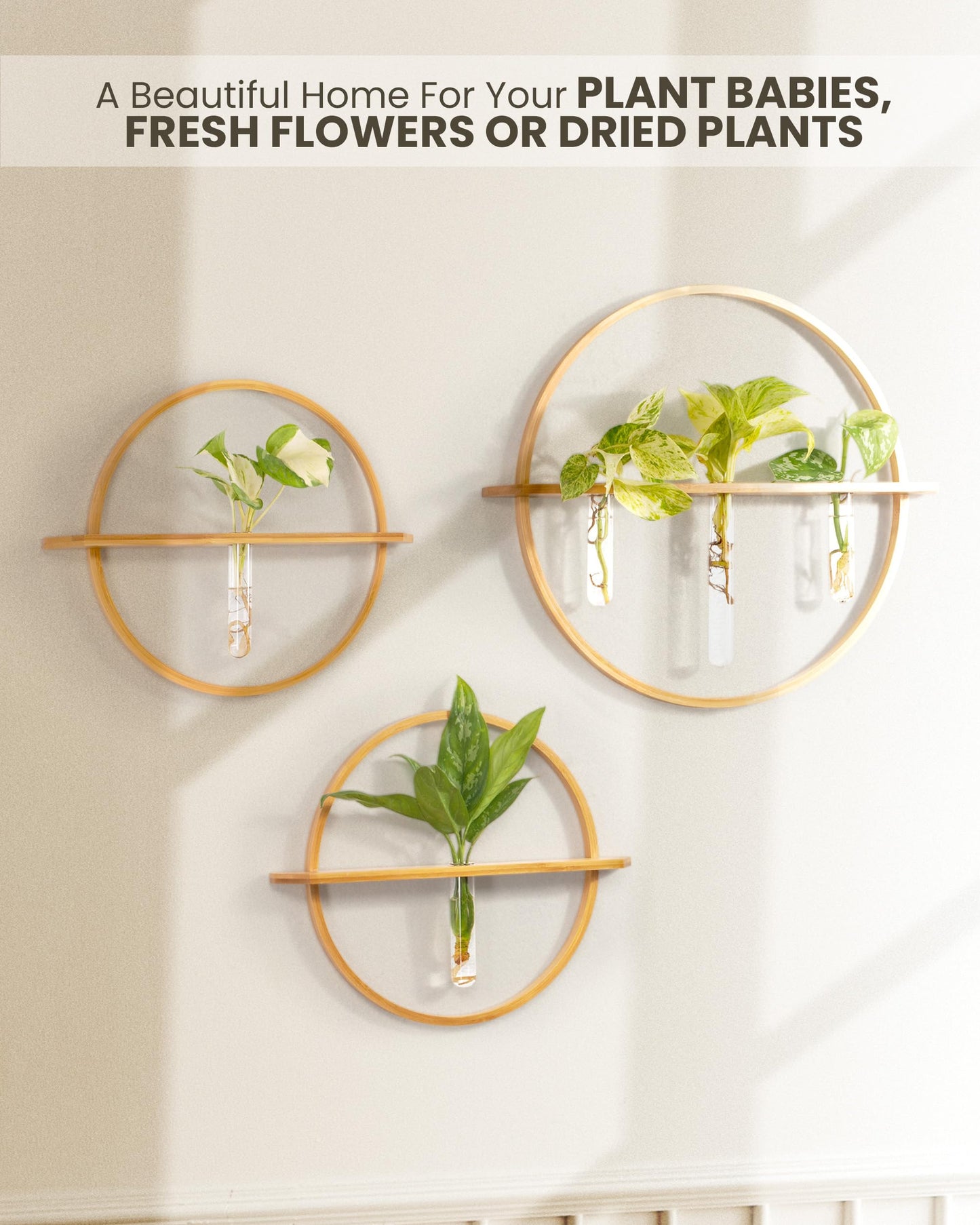 Bohemian Roots Plant Propagation Stations - Set of 3 Bamboo Wall Planters for Indoor Plants with 5 Glass Plant Propagation Tubes | Propagation Vases for Plants | Aesthetic Plant Wall Decor