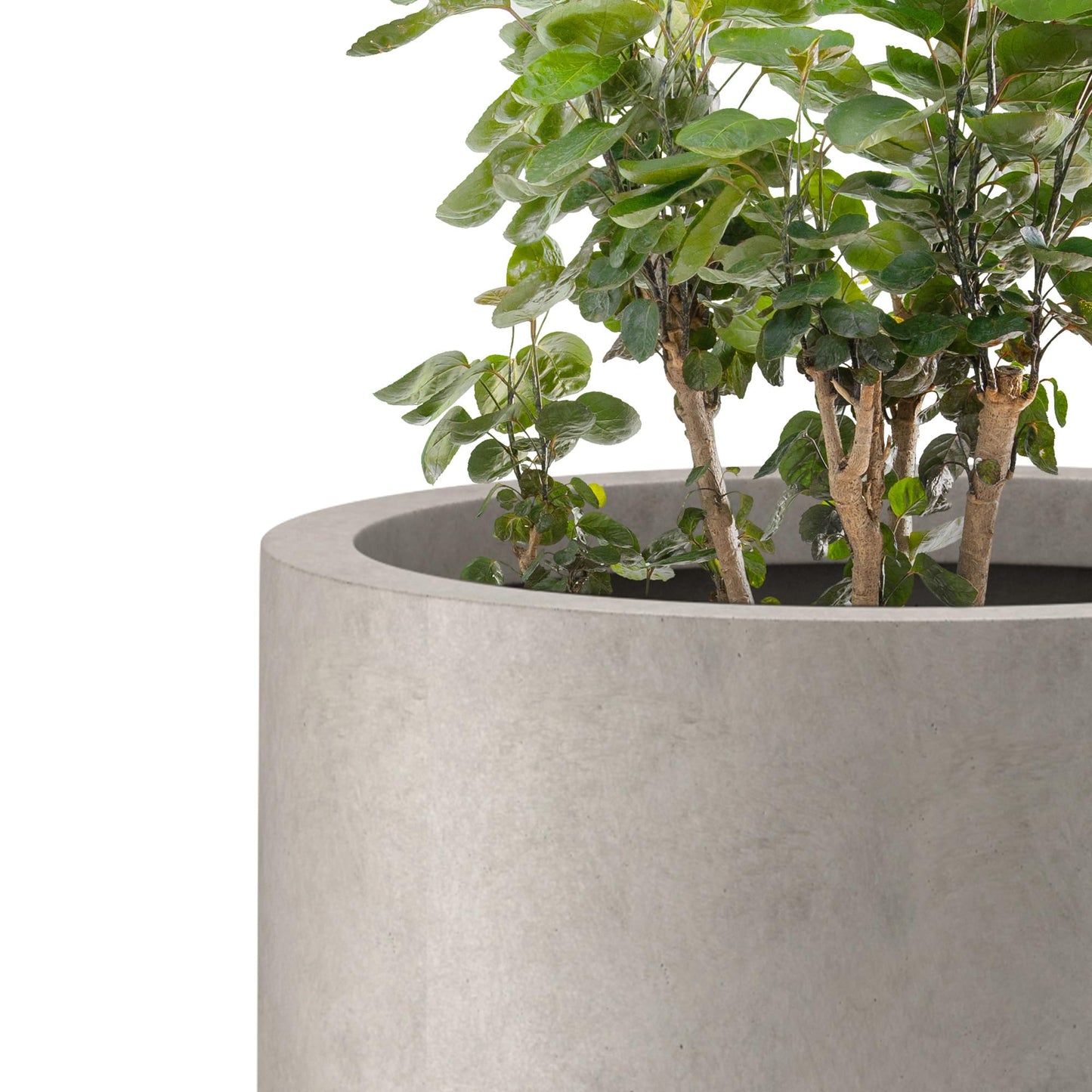 Kante 24 Inch Tall Round Concrete Planter, Large Indoor Outdoor Plant Pots with Drainage Hole and Rubber Plug, Modern Decorative Garden Pots for Home Patio Porch, Weathered Concrete