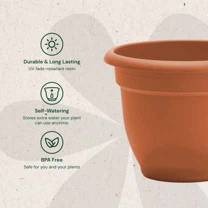 Bloem Ariana 12" Self-Watering Plastic Planter - Rolled Rim Indoor/Outdoor Garden Pot, Terra Cotta, 2-Pack