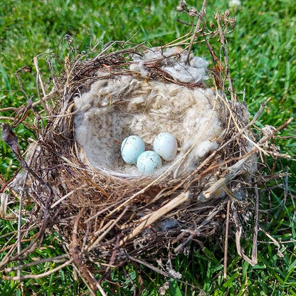Nuanchu 3 Pcs Bird Nest Material Bird Nest Refill Material Hummingbird Nest House Gift Design Bird Nest Material for Bird Lovers, Winter Bird Bedding Gifts in Outdoor Indoor Patio (Nest Not Included)