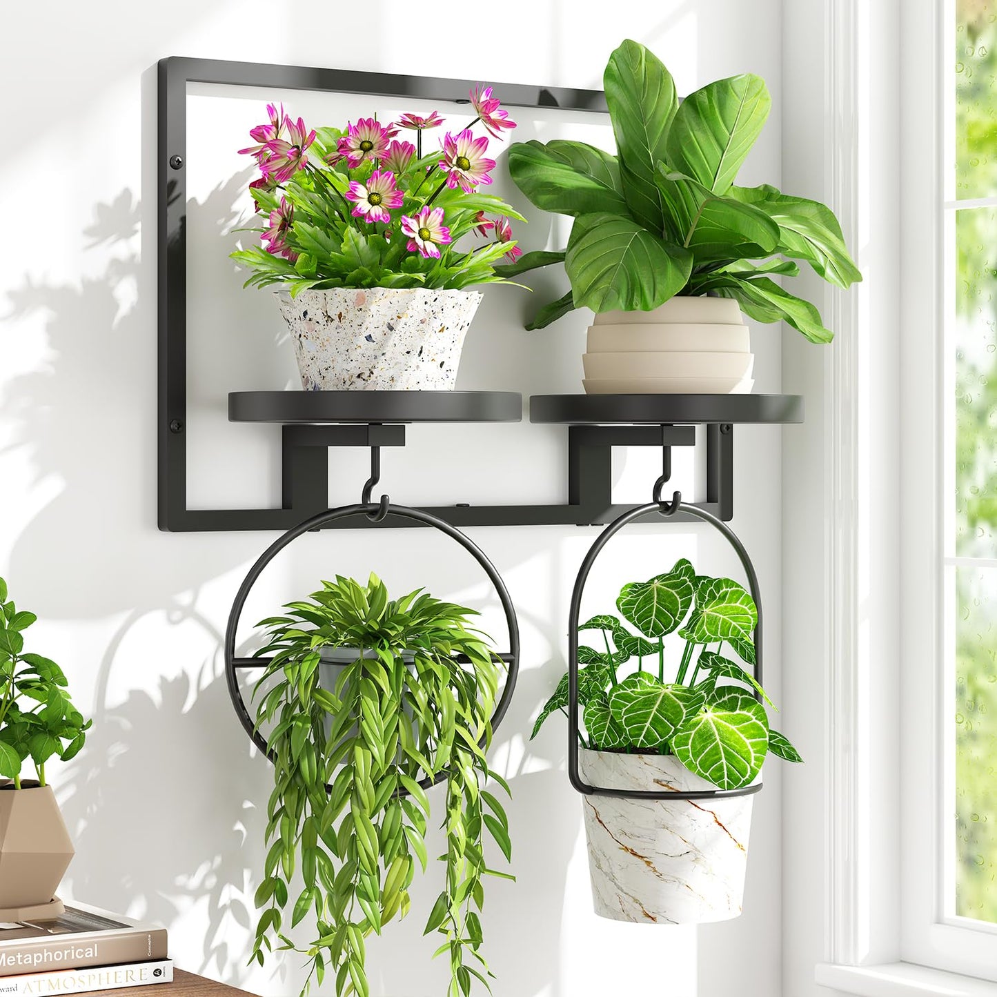 iDavosic.ly Wall Plant Picture Frame Holder with 2 Trays for Indoor, Metal Stand with Hanging Hooks, Floating Flower Display Decor, Space Saving & Easy to Assemble (Pots/Chains/Plants Not Included)