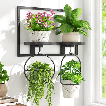 iDavosic.ly Wall Plant Picture Frame Holder with 2 Trays for Indoor, Metal Stand with Hanging Hooks, Floating Flower Display Decor, Space Saving & Easy to Assemble (Pots/Chains/Plants Not Included)