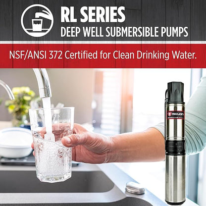 Red Lion RL12G07-3W2V 4-inch Submersible Deep Well Pump with Control Box, 3/4 HP, 12 GPM, 3-Wire, 230 Volt, Steel, 14942406