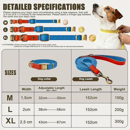 Dog Collar and Leash Set with Metal Quick Release Buckle, Adjustable, Breathable Nylon, Durable, Soft and Comfortable, No Pull for Walking and Training, Blue, M (12.5"-19.6")