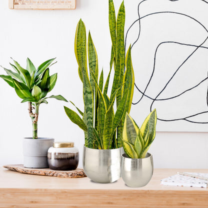 WHW Whole House Worlds Crosby Street Bucket Style Cache-Pot Planters, Set of 2, Polished Silver Aluminum, 7.5 and 5.5 Inches Diameter