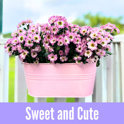 LaLaGreen Outdoor Hanging Planter (11.2 Inch, 6 Pack) Light Pink, Light Purple, Turquoise, Light Blue, Dark Purple, Cadet Blue Metal Iron Window Box Flower Pot Deck Railings Fence Porch Garden Decor