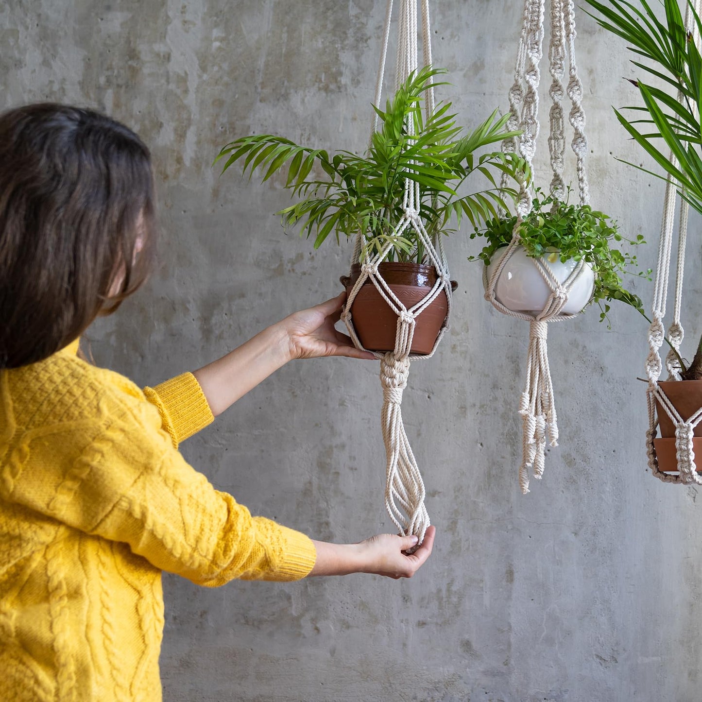 PATIKIL Plant Hanger, 6 Pcs Pulley Retractable Triangle Hanging Flower Basket Hook Indoor and Outdoor Plant Pots Holder, for Planters, Flower Basket, Wind Chimes, Bird Feeders, White