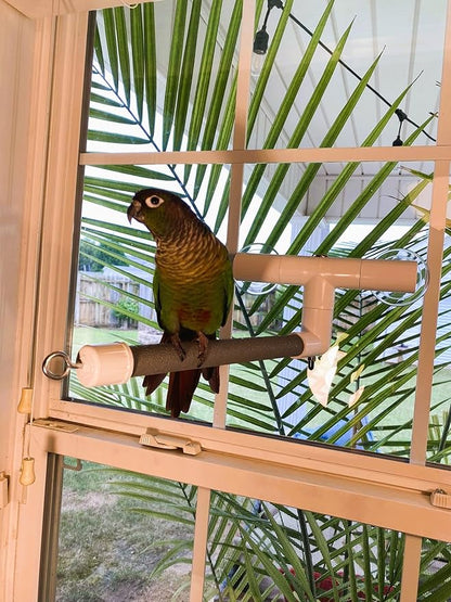 Polly's Portable Window-Shower Perch with Suction Cups for Cockatiels, Macaws, African Greys (Deluxe, Small)