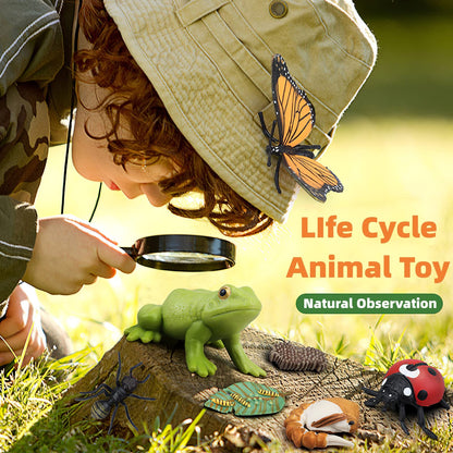 MIKNEKE Montessori Life Cycle Animal Figures with Flash Cards, Realistic Animal Figurines Toy, Educational Matching Game for 3+ Year Old Toddlers Kids (Ant)