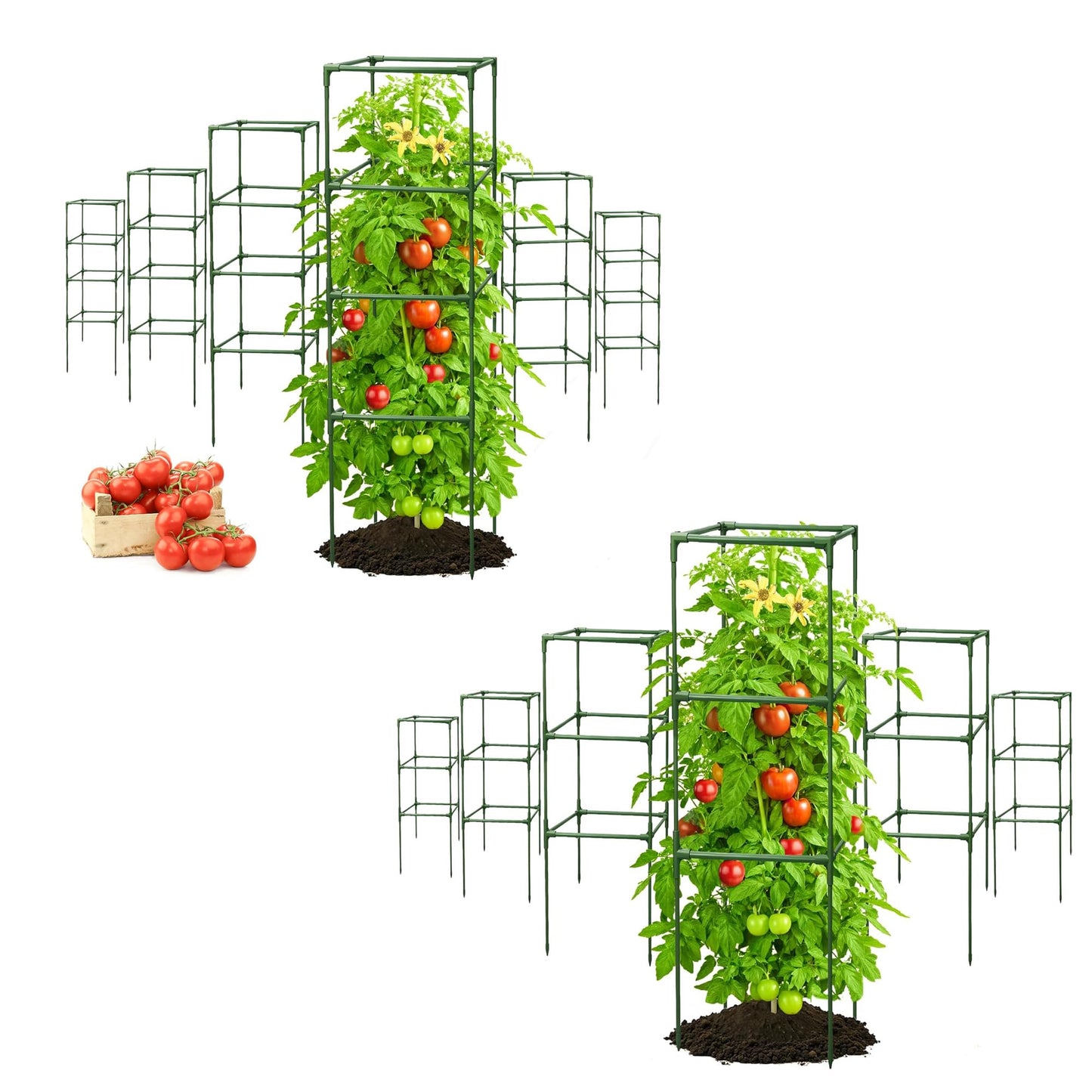Tomato Cage Square - Large Trellis Stakes and Plant Support Structures for Vegetables and Climbing Plants - Tall Tomato Cages for Garden, Pots, Raised Garden Bed Outdoor Supplies (6 Pack - Up to 41"+