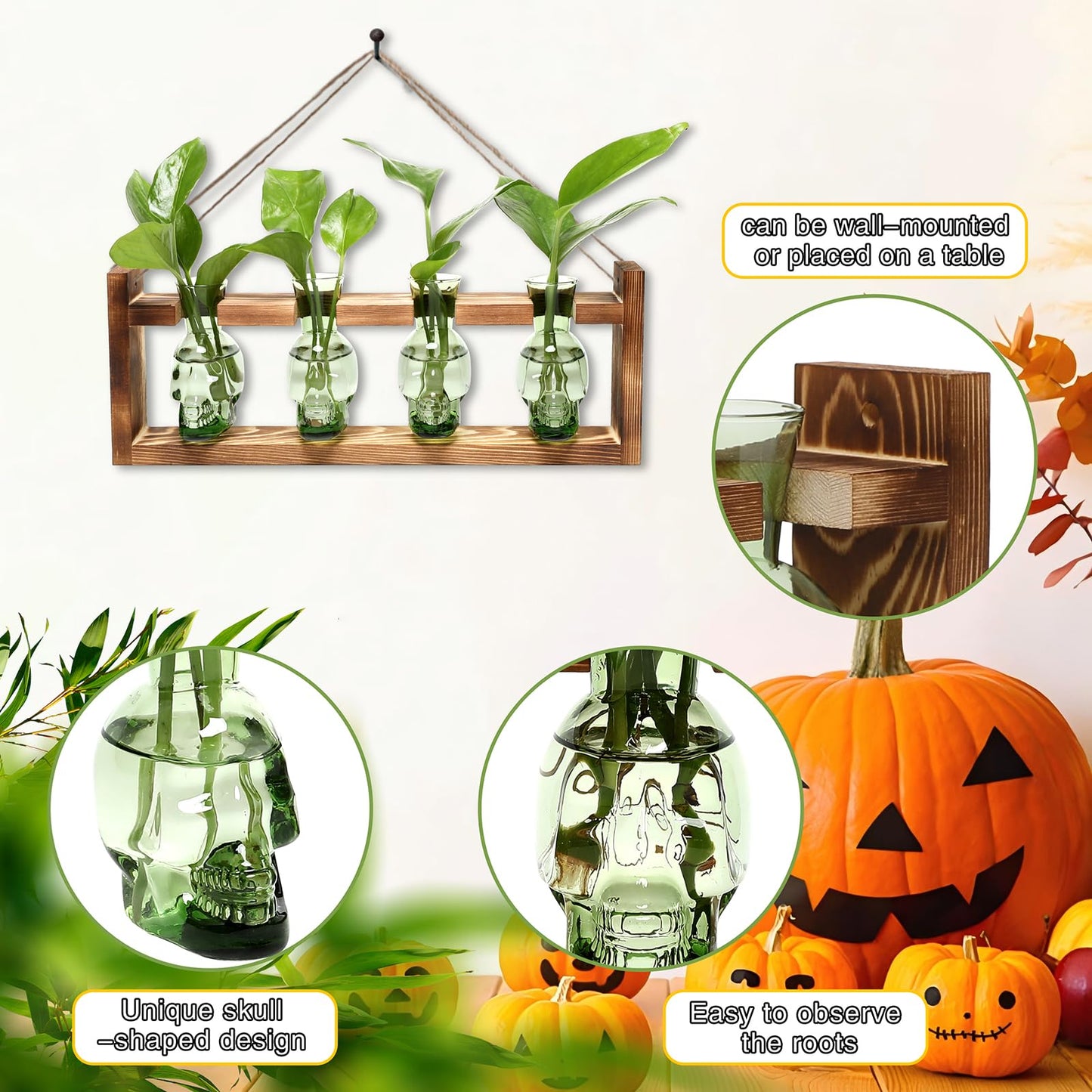 CYZglass Plant Propagation Stations Halloween Skull Plant Terrarium Kit Glass Vases Gift for Father Air Planter Home Office Decor