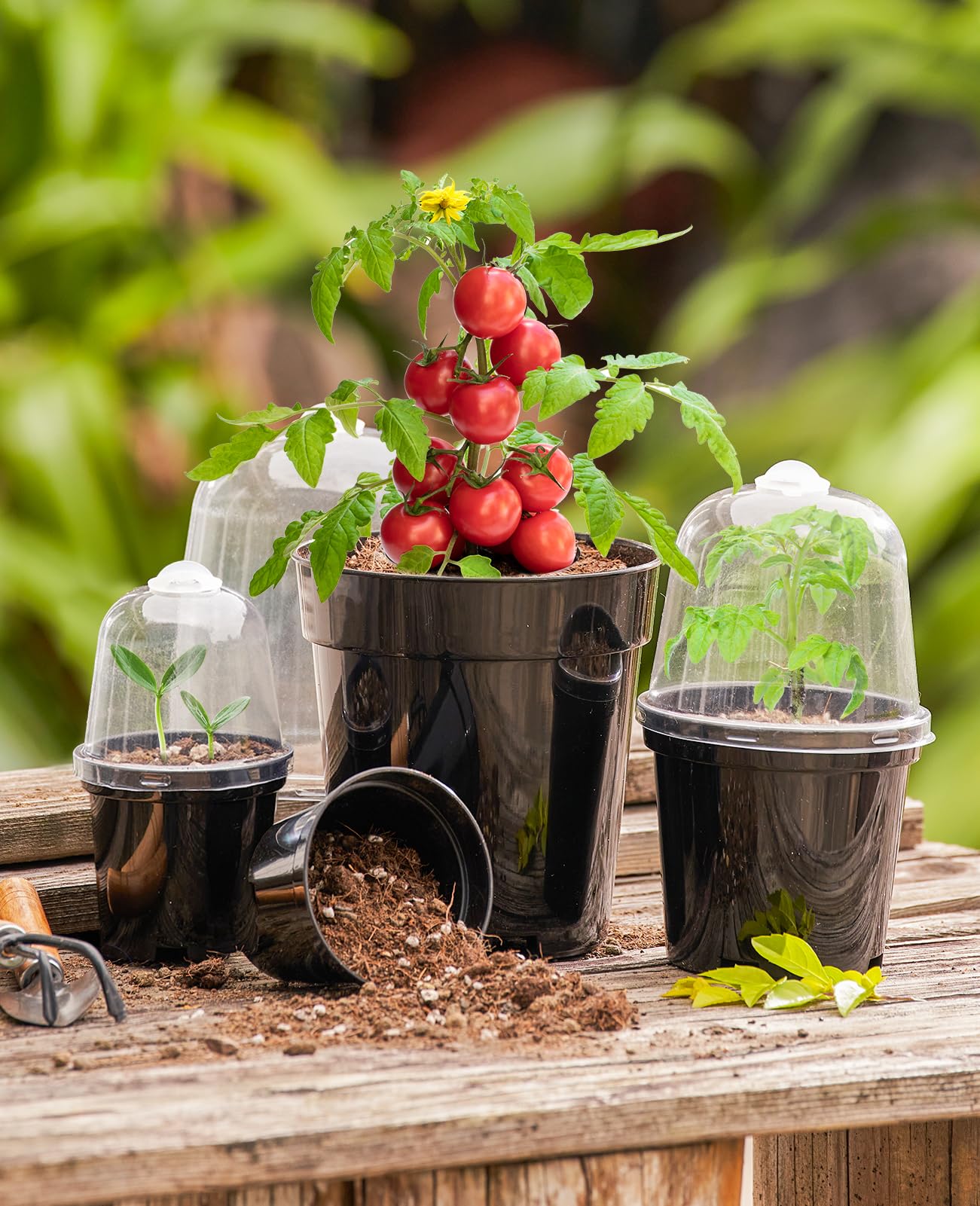 homenote Nursery Pots for Plants,4 Inch Plant Pot for Planting with Humidity Domes Plastic Seedling with Drainage Holes Seed Starter Flower with 10 Labels Black (30 Pack)