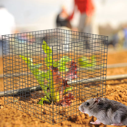 20 Pcs Plant Protector from Animals, 5 Pack 12'' x 12'' Reusable Metal Square Plant Cages, Wire Mesh Garden Cloches to Keep Rabbits, Squirrels and Chicken Out and Protection Vegetables Flowers Shrubs