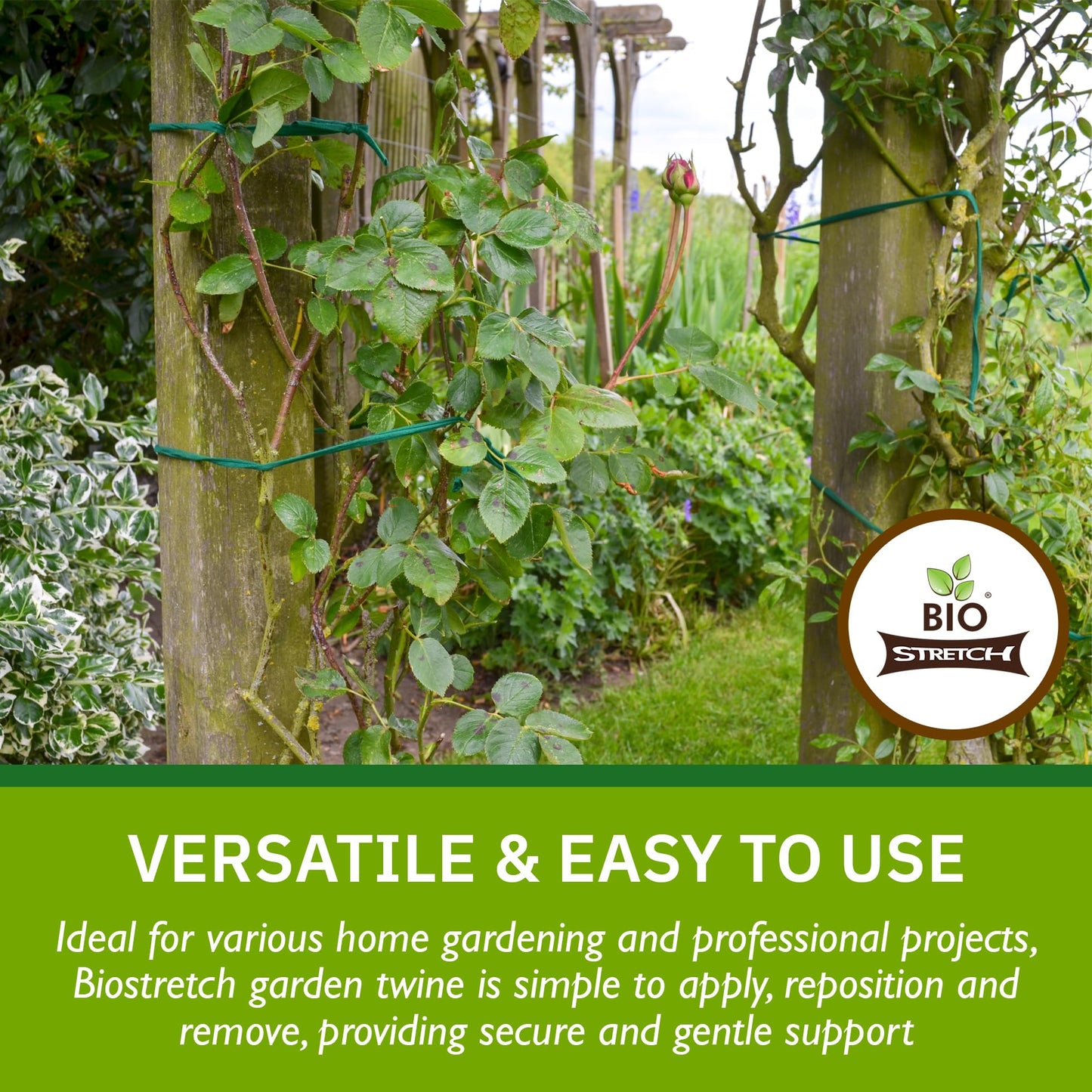 Bio-Stretch Soft Garden Plant Ties for Indoor & Outdoor Plants - Strong & Stretchy Cut-to-Length Plant Tape for Climbing Plants, Tomato Vines & Home Gardening (65 ft / 20M)