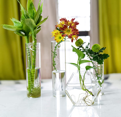 Kingbuy Hexagon Wall Planter Set - 3 Pack Glass Propagation Terrarium Vases with Hanging Mounts for Indoor Plants, Air Plants & Hydroponic Stations Home Office Decor, Plant Lover Gifts (Medium)