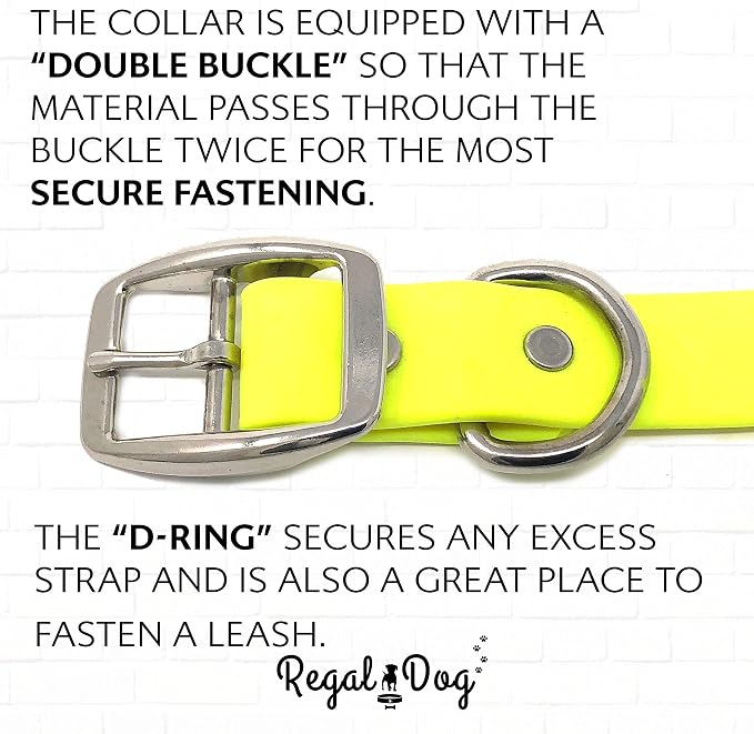 Regal Dog Products Medium Yellow Waterproof Dog Collar and Leash Set | Heavy Duty Double Buckle & D Ring - 5'ft Leash | Adjustable Biothane Dog Collar | Chew Resistant Waterproof Collar for Dogs